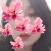 ヒメ日記 2025/07/16 19:06 投稿 奥野渚 Matriarch(マトリアルカ)