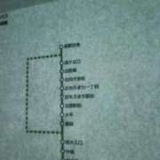 すみれ 旅🚍 ぽちゃ巨乳専門　新大久保・新宿歌舞伎町ちゃんこ