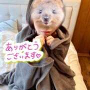 ヒメ日記 2026/03/01 16:48 投稿 らん DRAMA（ドラマ）