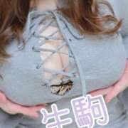 ヒメ日記 2025/03/11 10:09 投稿 生駒 BBW（ビッグビューティフルウーマン）