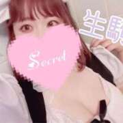 ヒメ日記 2025/09/30 09:19 投稿 生駒 BBW（ビッグビューティフルウーマン）