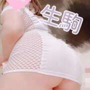 ヒメ日記 2025/10/08 22:29 投稿 生駒 BBW（ビッグビューティフルウーマン）