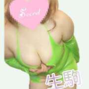 生駒 また明日🍒 BBW（ビッグビューティフルウーマン）