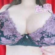 ヒメ日記 2026/04/17 08:39 投稿 生駒 BBW（ビッグビューティフルウーマン）