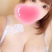 生駒 名前の由来🍒 BBW（ビッグビューティフルウーマン）