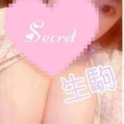 ヒメ日記 2026/06/05 22:29 投稿 生駒 BBW（ビッグビューティフルウーマン）