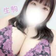 ヒメ日記 2026/07/31 22:29 投稿 生駒 BBW（ビッグビューティフルウーマン）