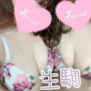 ヒメ日記 2026/09/18 23:29 投稿 生駒 BBW（ビッグビューティフルウーマン）