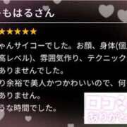 ヒメ日記 2025/02/08 17:19 投稿 はる スピードエコ難波店