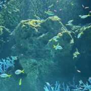 ヒメ日記 2025/03/20 15:42 投稿 はる スピードエコ難波店