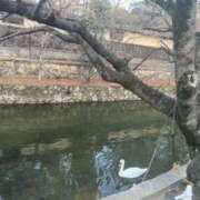 ヒメ日記 2025/12/23 16:52 投稿 はる スピードエコ難波店