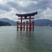 ヒメ日記 2026/02/08 15:38 投稿 はる スピードエコ難波店