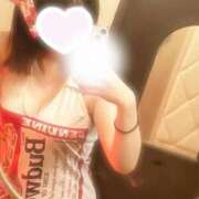 ヒメ日記 2025/03/07 10:31 投稿 ひかる Wonder7 (ワンダー7)