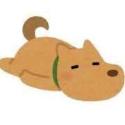 ヒメ日記 2025/10/23 08:14 投稿 ひかる Wonder7 (ワンダー7)