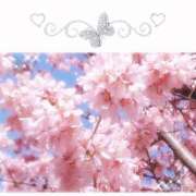 ヒメ日記 2026/03/30 23:34 投稿 はこ 横浜人妻セレブリティ（ユメオト）