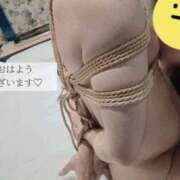 ヒメ日記 2025/03/12 08:00 投稿 ましろ 奥様クラブ