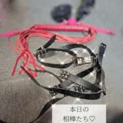 ヒメ日記 2025/03/21 13:55 投稿 ましろ 奥様クラブ