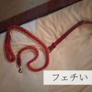 ヒメ日記 2025/06/08 07:20 投稿 ましろ 奥様クラブ