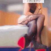 ヒメ日記 2025/08/11 09:55 投稿 ましろ 奥様クラブ