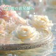 ヒメ日記 2025/12/26 08:03 投稿 あい ACCENT[アクセントグループ]