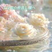 ヒメ日記 2026/01/17 00:33 投稿 あい ACCENT[アクセントグループ]