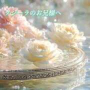 ヒメ日記 2026/02/13 07:33 投稿 あい ACCENT[アクセントグループ]