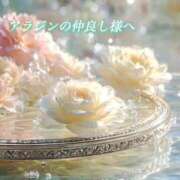 ヒメ日記 2026/02/22 00:23 投稿 あい ACCENT[アクセントグループ]