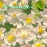 ヒメ日記 2026/03/26 11:43 投稿 あい ACCENT[アクセントグループ]