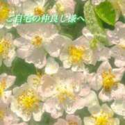 ヒメ日記 2026/03/31 00:43 投稿 あい ACCENT[アクセントグループ]