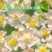 ヒメ日記 2026/04/03 00:13 投稿 あい ACCENT[アクセントグループ]