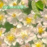 ヒメ日記 2026/04/16 20:13 投稿 あい ACCENT[アクセントグループ]