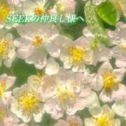 ヒメ日記 2026/04/21 07:03 投稿 あい ACCENT[アクセントグループ]