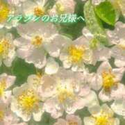 ヒメ日記 2026/04/21 07:20 投稿 あい ACCENT[アクセントグループ]