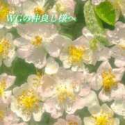 ヒメ日記 2026/05/01 00:33 投稿 あい ACCENT[アクセントグループ]