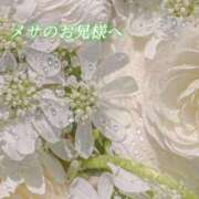 ヒメ日記 2026/06/05 20:48 投稿 あい ACCENT[アクセントグループ]
