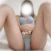 ヒメ日記 2025/05/15 07:30 投稿 りんか 吉祥寺大人めシンデレラ（シンデレラグループ）