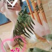 ヒメ日記 2026/02/26 12:43 投稿 体験かな ACCENT[アクセントグループ]