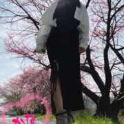 ヒメ日記 2026/04/09 11:03 投稿 体験かな ACCENT[アクセントグループ]