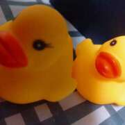 ヒメ日記 2025/05/25 18:45 投稿 金子　ゆきえ 昼下がりの情事