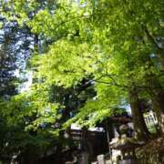 ヒメ日記 2025/06/07 20:28 投稿 金子　ゆきえ 昼下がりの情事