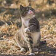 ヒメ日記 2025/06/09 14:37 投稿 金子　ゆきえ 昼下がりの情事