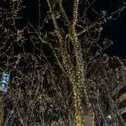 ヒメ日記 2025/12/17 18:21 投稿 玲香／れいか 大宮人妻セレブリティ（ユメオト）