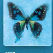 ヒメ日記 2026/06/13 16:54 投稿 体験あんな ACCENT[アクセントグループ]