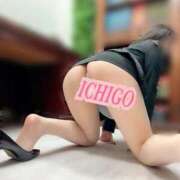 ヒメ日記 2026/02/15 19:12 投稿 イチゴ ポニーテール和歌山店