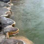 ヒメ日記 2025/08/11 18:08 投稿 さくら 天使のゆびさき 船橋店(カサブランカグループ)