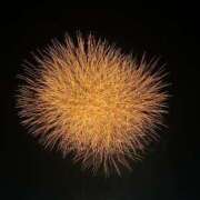 ヒメ日記 2025/09/01 16:38 投稿 さくら 天使のゆびさき 船橋店(カサブランカグループ)