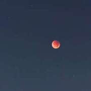 ヒメ日記 2025/09/08 13:32 投稿 さくら 天使のゆびさき 船橋店(カサブランカグループ)