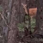 ヒメ日記 2025/09/16 13:32 投稿 さくら 天使のゆびさき 船橋店(カサブランカグループ)