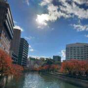 ヒメ日記 2025/11/21 17:02 投稿 さくら 天使のゆびさき 船橋店(カサブランカグループ)