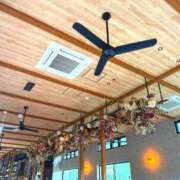 ヒメ日記 2025/04/10 17:18 投稿 あおい アップル(長崎)